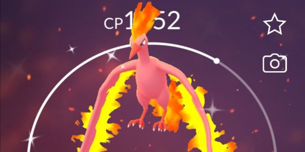 Moltres Shiny (Legendary)