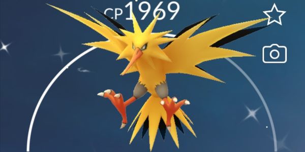 Zapdos Shiny (Legendary)