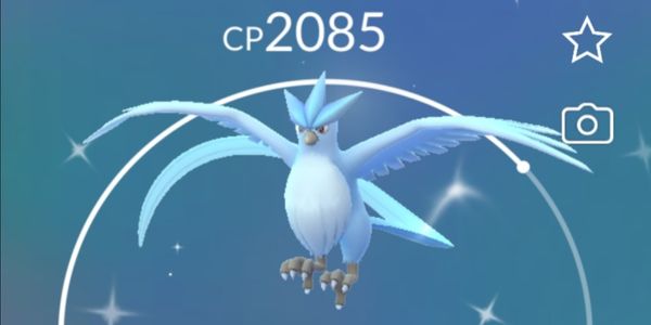Articuno Shiny (Legendary)