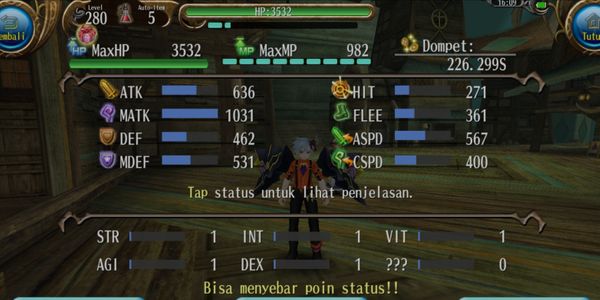 PLAIN LEVEL CAP ACCOUNT