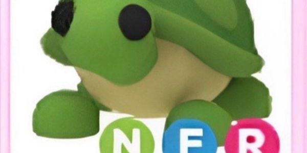 I NFR Turtle NFR I