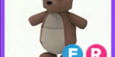 FR Kangoroo Adoptme