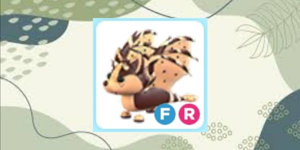 Chocolate Chip Bat Dragon - FR (Fly, Ride)