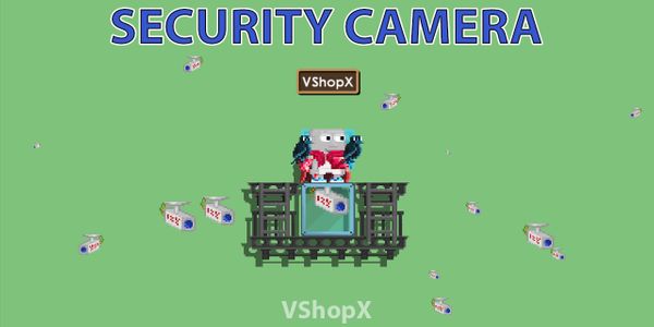 Security Camera (1pcs)