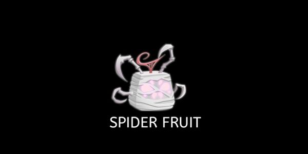 Spider (Natural)