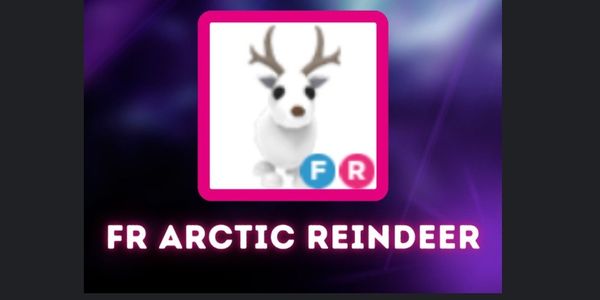 FR Arctic Reindeer Full grown