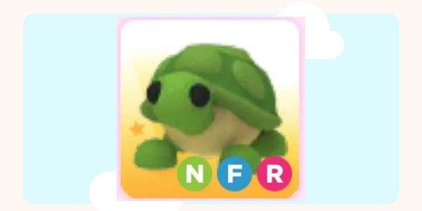 NFR Turtle