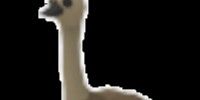 Normal / No Potion Emu (Rare) Rare pet adopt me