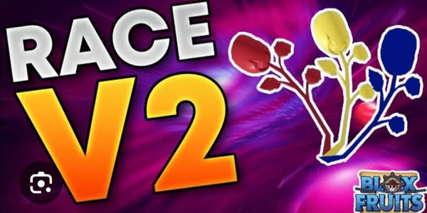 Jasa Race V2