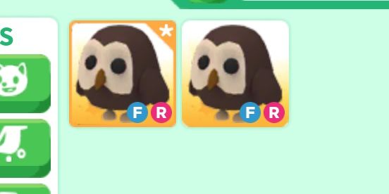 FR Owl Full grown