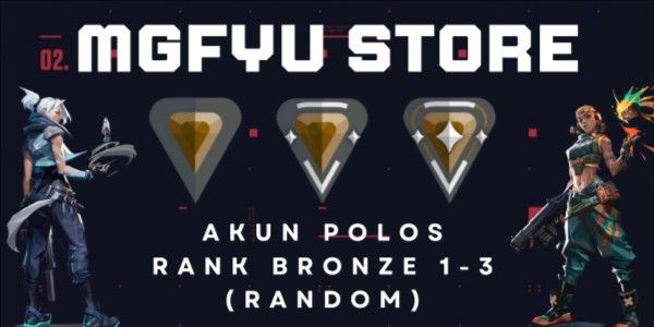Bronze Rank Plain Account