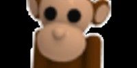 FR Fly Ride Monkey (Rare) Pet Adopt Me Rare
