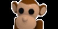 FG R Full Grown Ride Monkey (Rare) Rare Pet Adopt Me