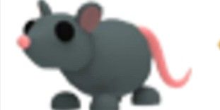 Normal Rat (Rare) Rare pet Adopt Me