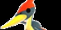 Normal Pterodactyl (Rare) Rare Pet Adopt Me
