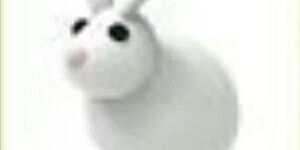 Normal Rabbit (Rare) Pet Adopt Me