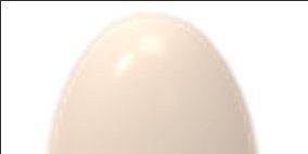 Pet Egg (Rare)