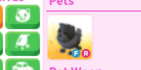 Fr Black Chow Chow