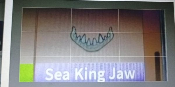Sea King Jaw - King Legacy