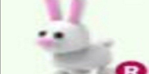 BUNNY R