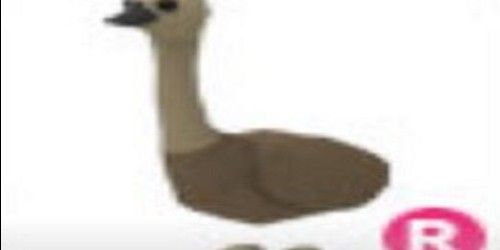 EMU R