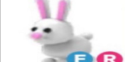 BUNNY FR