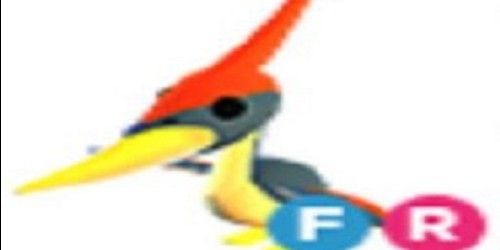 PTERODACTYL FR