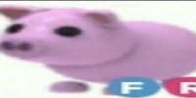 PIG FR