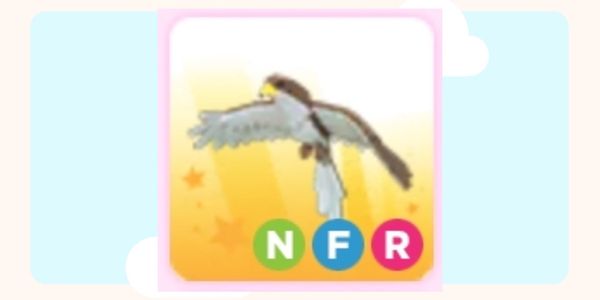 NFR Hawk