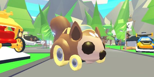 Squirrel Car