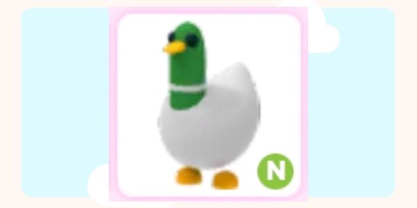 N Silly Duck