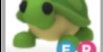 Turtle FR - Adopt Me