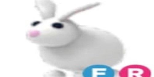 RABBIT FR