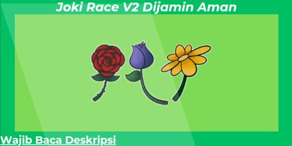 Jasa Race V2