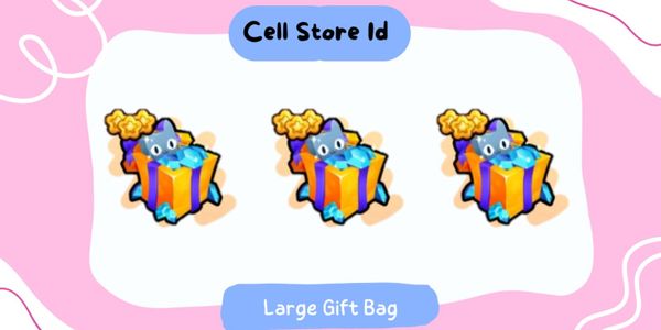 Large Gift Bag