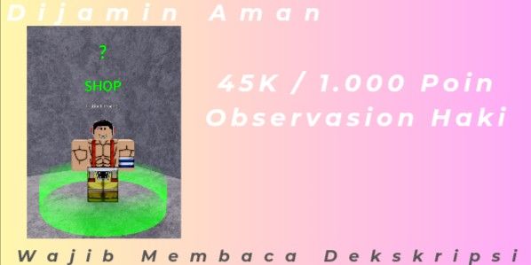 Haki Observation Jockey Services