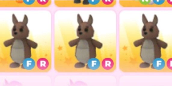 FR KANGAROO