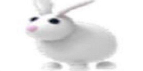 Buy Pet RABBIT Adopt Me Roblox Trading Hub 2801412 | itemku