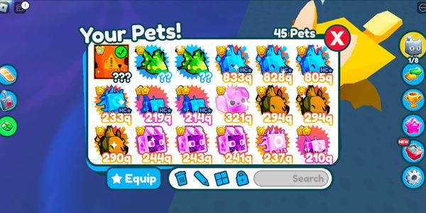PET SIMULATOR
