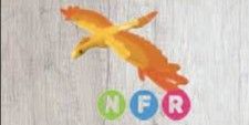Phoenix NFR - Adopt Me