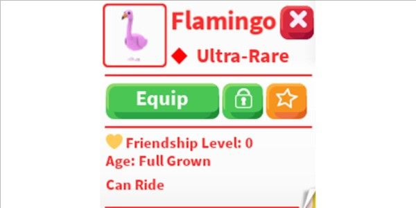 Flamingo R