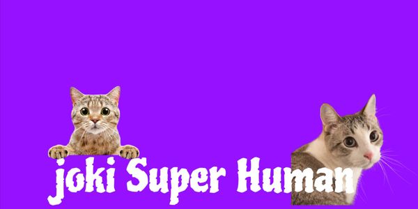 Fighting Style - Superhuman
