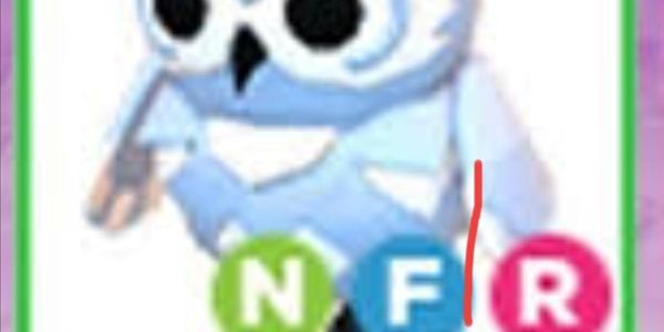 NFR snow owls