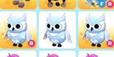 Snow Owl - Adopt Me Roblox - Legendary Pet