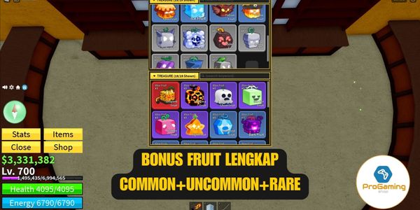 Blox Fruits Account Lv 700 + Fruit Leopard Hasn't Been Eaten