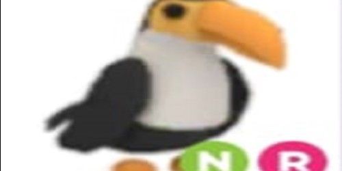 Buy Pet TOUCAN NR Adopt Me Roblox Trading Hub 2831529 | itemku