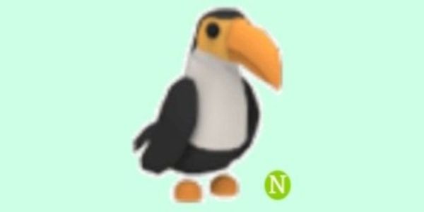 neon toucan + bonus
