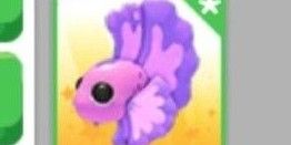 pink betta fish + bonus