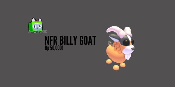 Billy Goat NFR