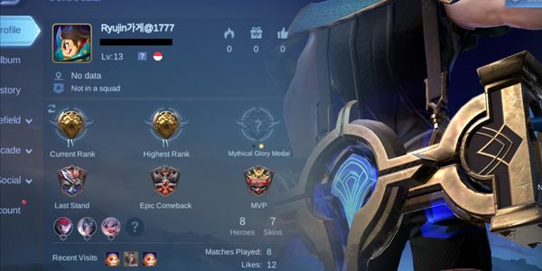 SMURF RANK MASTER WR ACCOUNT 100% SKIN